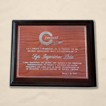 FyR ingenieros Ltda. Reconocimiento Camara Colombiana de la Energía 2023